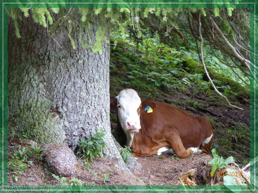 Philosophische Bildwanderung - Kessel-Königsee - Gotzentalalm -Königsbachalm - Berchtesgaden