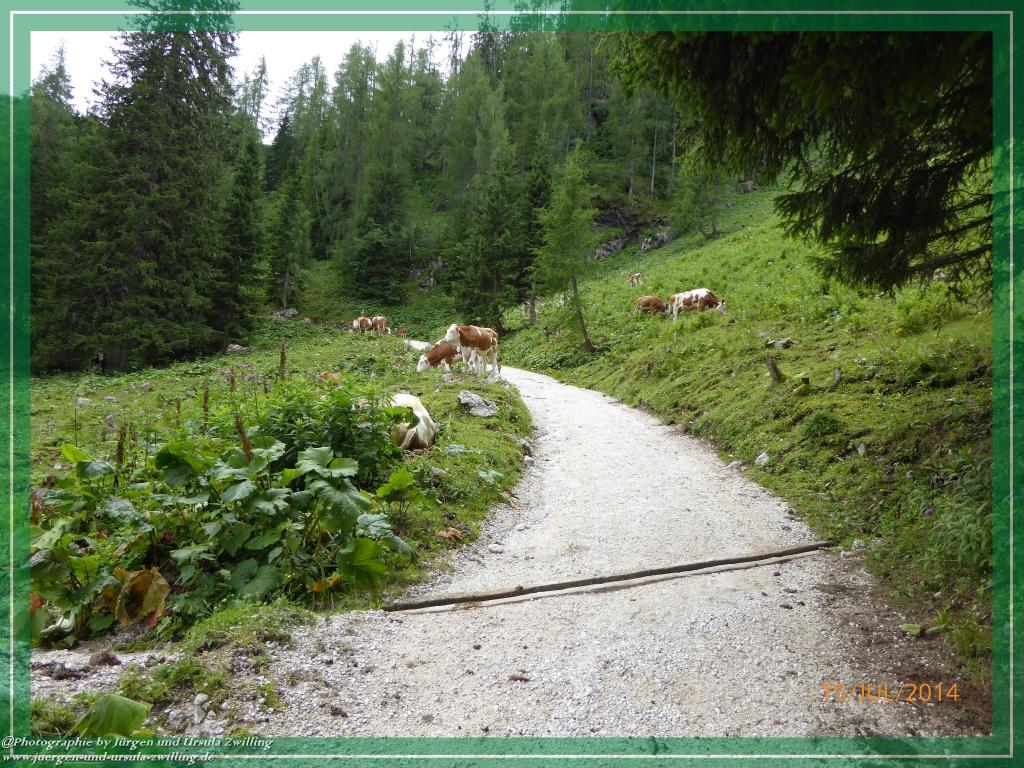 Philosophische Bildwanderung - Kessel-Königsee - Gotzentalalm -Königsbachalm - Berchtesgaden