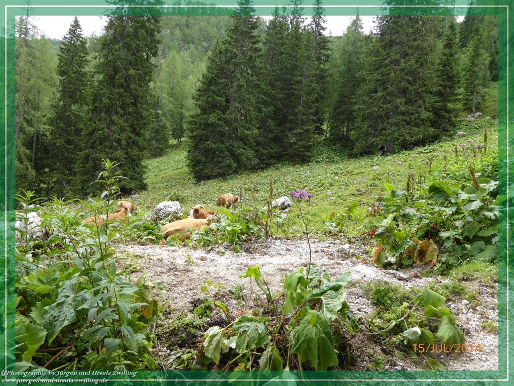 Philosophische Bildwanderung - Kessel-Königsee - Gotzentalalm -Königsbachalm - Berchtesgaden