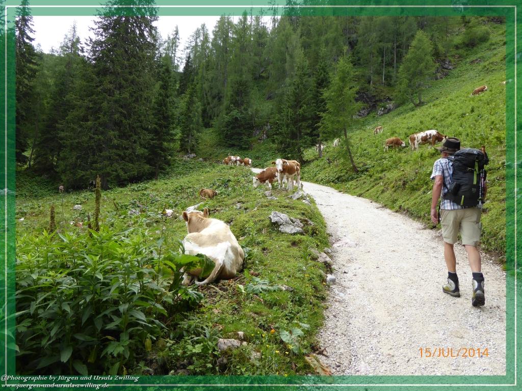 Philosophische Bildwanderung - Kessel-Königsee - Gotzentalalm -Königsbachalm - Berchtesgaden