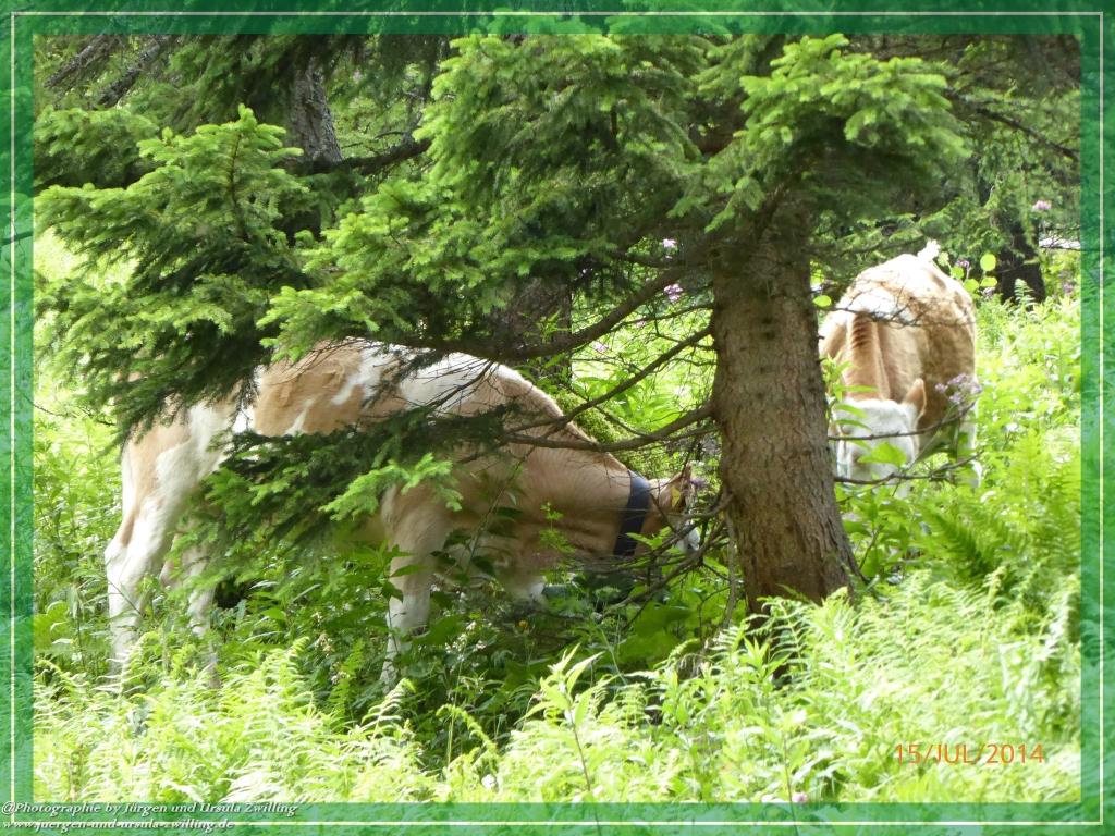 Philosophische Bildwanderung - Kessel-Königsee - Gotzentalalm -Königsbachalm - Berchtesgaden