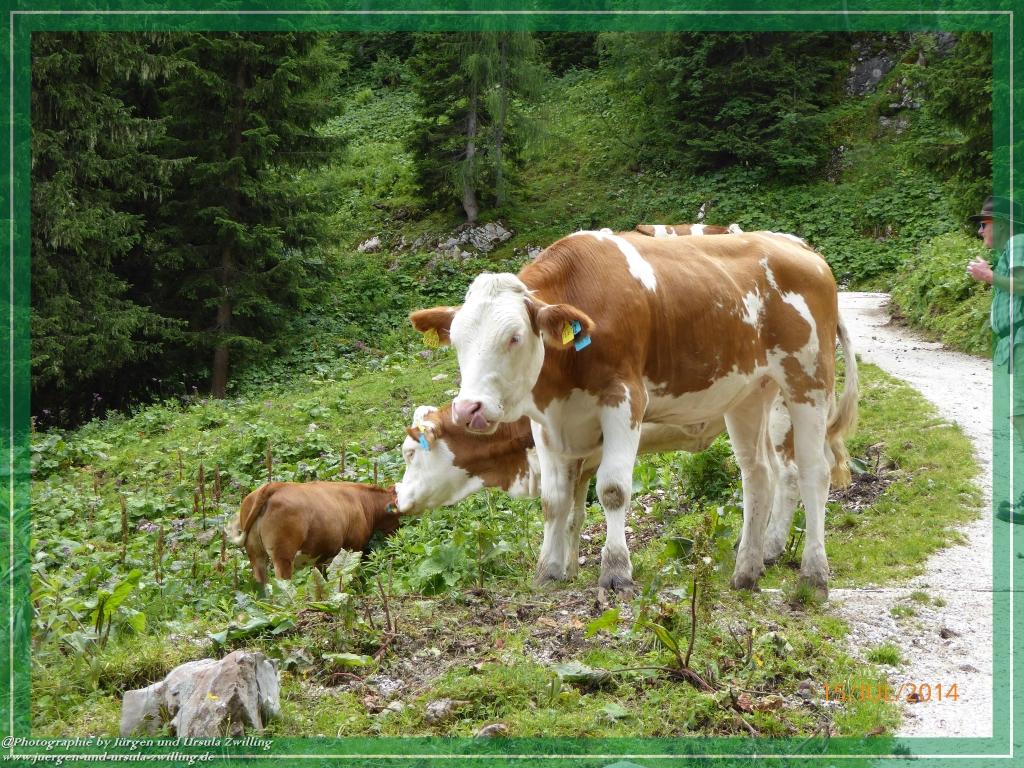 Philosophische Bildwanderung - Kessel-Königsee - Gotzentalalm -Königsbachalm - Berchtesgaden
