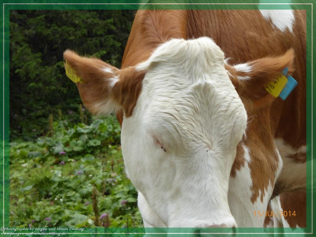 Philosophische Bildwanderung - Kessel-Königsee - Gotzentalalm -Königsbachalm - Berchtesgaden