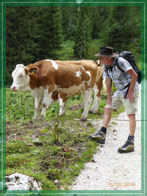 Philosophische Bildwanderung - Kessel-Königsee - Gotzentalalm -Königsbachalm - Berchtesgaden