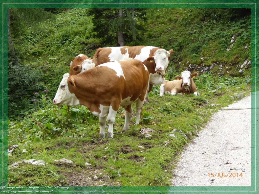 Philosophische Bildwanderung - Kessel-Königsee - Gotzentalalm -Königsbachalm - Berchtesgaden