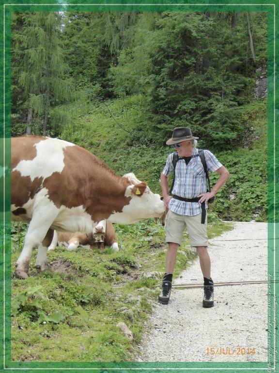 Philosophische Bildwanderung - Kessel-Königsee - Gotzentalalm -Königsbachalm - Berchtesgaden