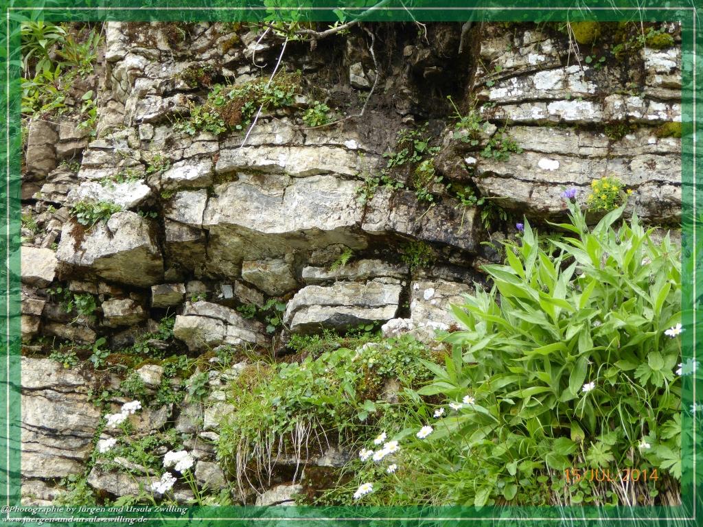 Philosophische Bildwanderung - Kessel-Königsee - Gotzentalalm -Königsbachalm - Berchtesgaden