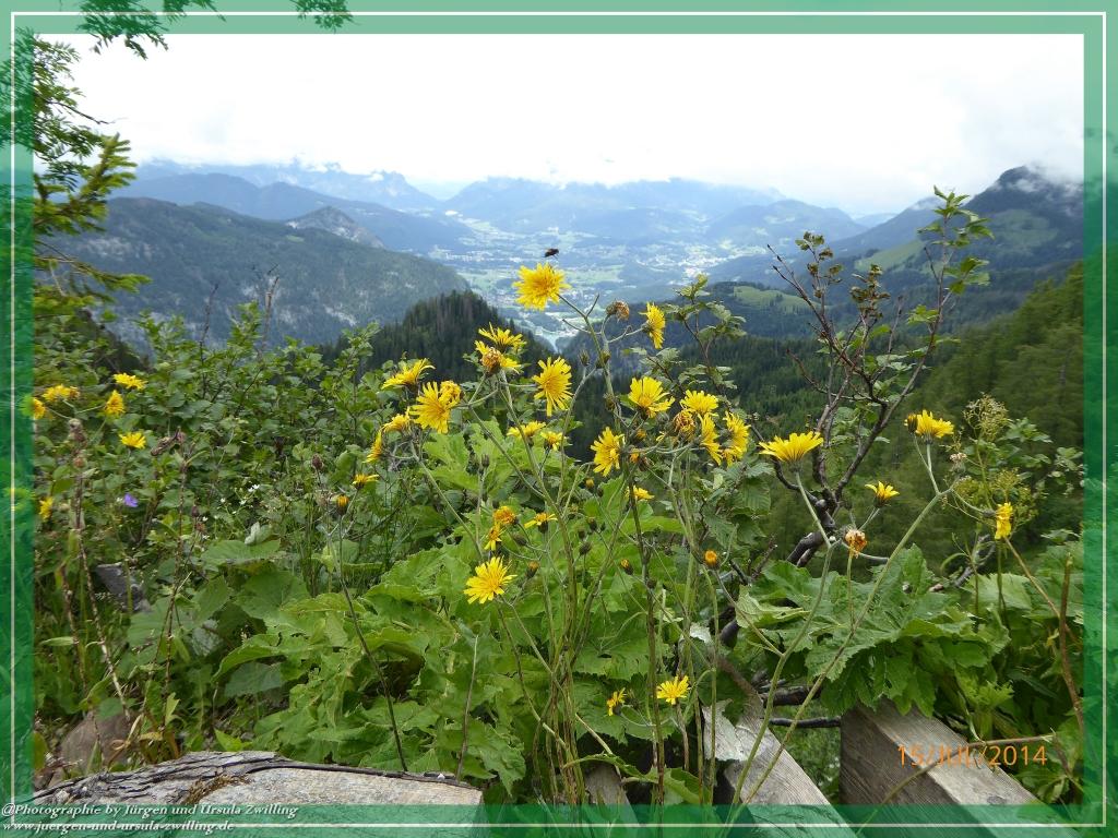 Philosophische Bildwanderung - Kessel-Königsee - Gotzentalalm -Königsbachalm - Berchtesgaden