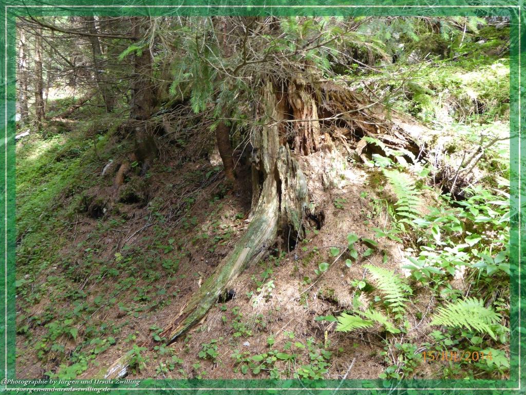 Philosophische Bildwanderung - Kessel-Königsee - Gotzentalalm -Königsbachalm - Berchtesgaden
