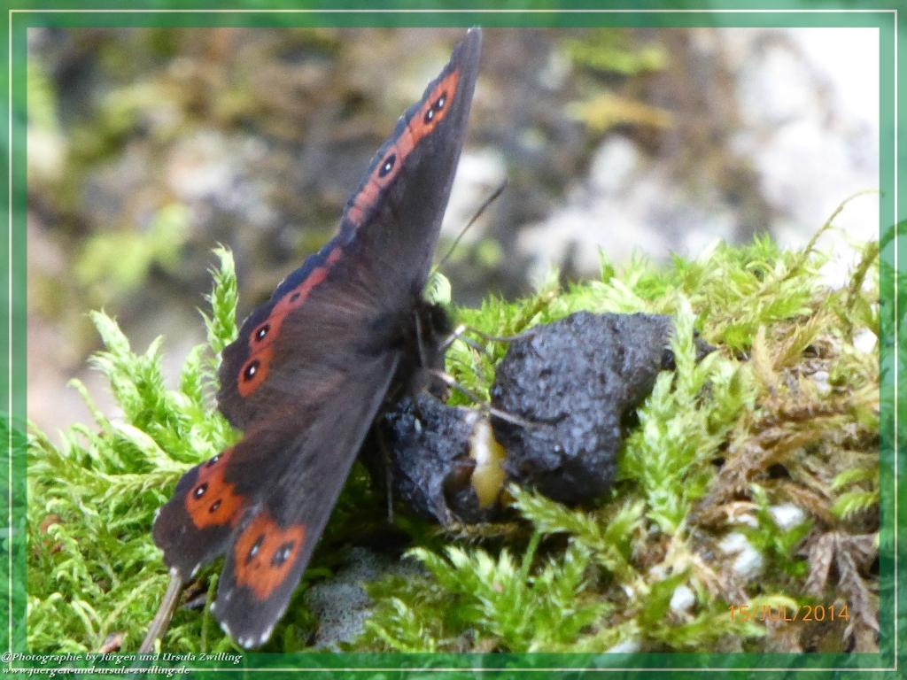 Philosophische Bildwanderung - Kessel-Königsee - Gotzentalalm -Königsbachalm - Berchtesgaden