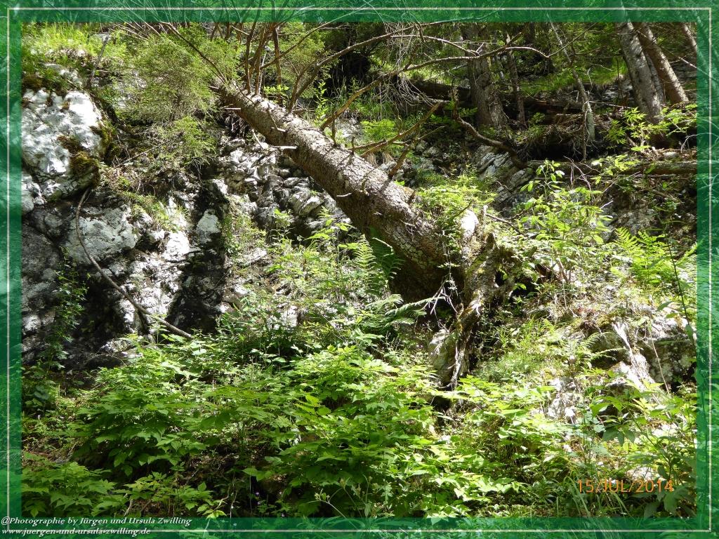 Philosophische Bildwanderung - Kessel-Königsee - Gotzentalalm -Königsbachalm - Berchtesgaden