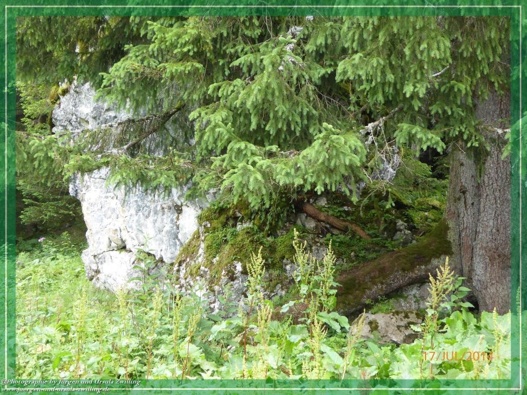 Philosophische Bildwanderung - Schneibsteinhaus und Carl-von-Stahl-Haus - Berchtesgaden
