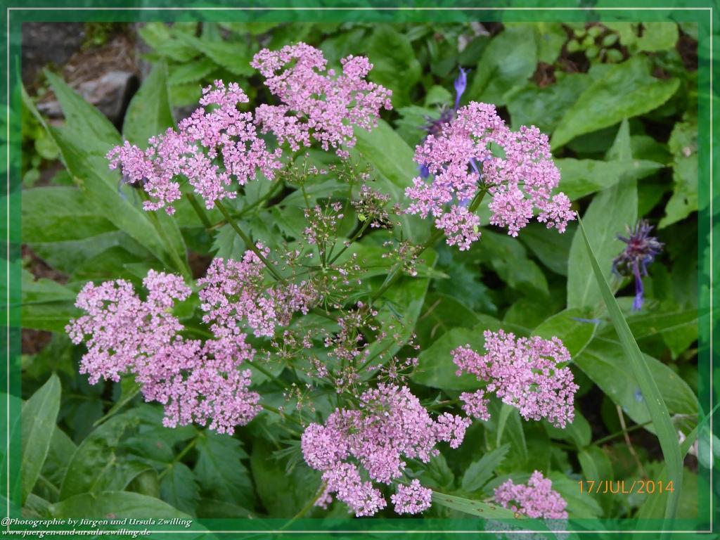 Philosophische Bildwanderung - Schneibsteinhaus und Carl-von-Stahl-Haus - Berchtesgaden