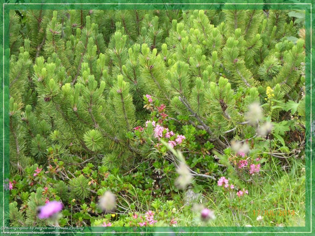 Philosophische Bildwanderung - Schneibsteinhaus und Carl-von-Stahl-Haus - Berchtesgaden