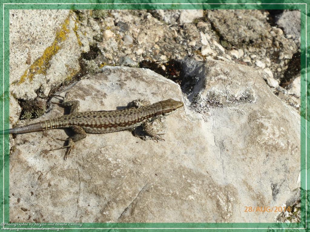 Philosophische Bildwanderung Vetrar Wanderstrecke Monte Baldo von Malcesine am Garda See