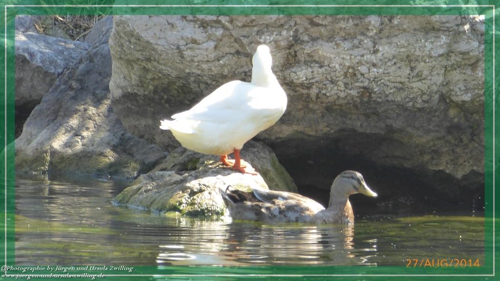 Philosophische Bildwanderung – eine Zeitreise Gardasee - Riva del Garda - Malcesine - Monte Baldo – Sirmione - Grotta Cascata del Varonel - Abschied über Ledrosee