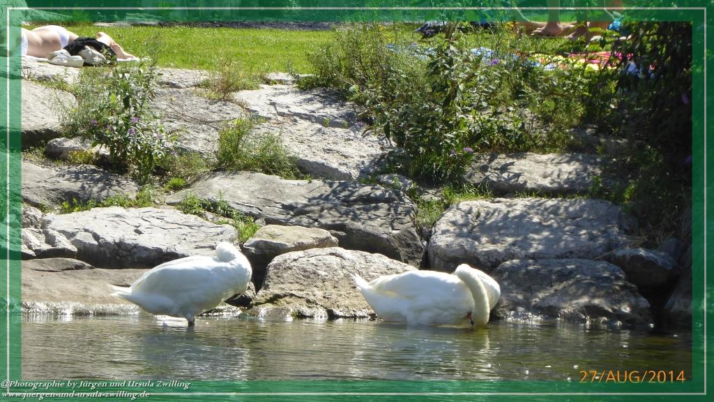 Philosophische Bildwanderung – eine Zeitreise Gardasee - Riva del Garda - Malcesine - Monte Baldo – Sirmione - Grotta Cascata del Varonel - Abschied über Ledrosee