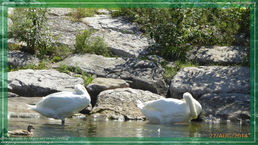 Philosophische Bildwanderung – eine Zeitreise Gardasee - Riva del Garda - Malcesine - Monte Baldo – Sirmione - Grotta Cascata del Varonel - Abschied über Ledrosee