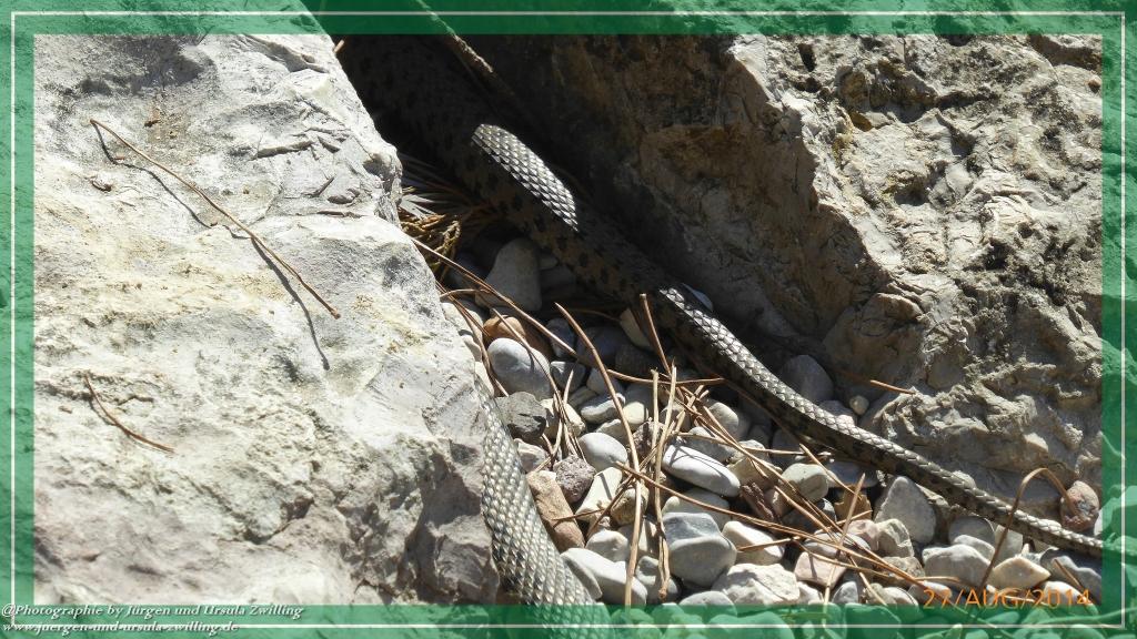 Philosophische Bildwanderung – eine Zeitreise Gardasee - Riva del Garda - Malcesine - Monte Baldo – Sirmione - Grotta Cascata del Varonel - Abschied über Ledrosee