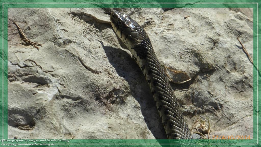 Philosophische Bildwanderung – eine Zeitreise Gardasee - Riva del Garda - Malcesine - Monte Baldo – Sirmione - Grotta Cascata del Varonel - Abschied über Ledrosee