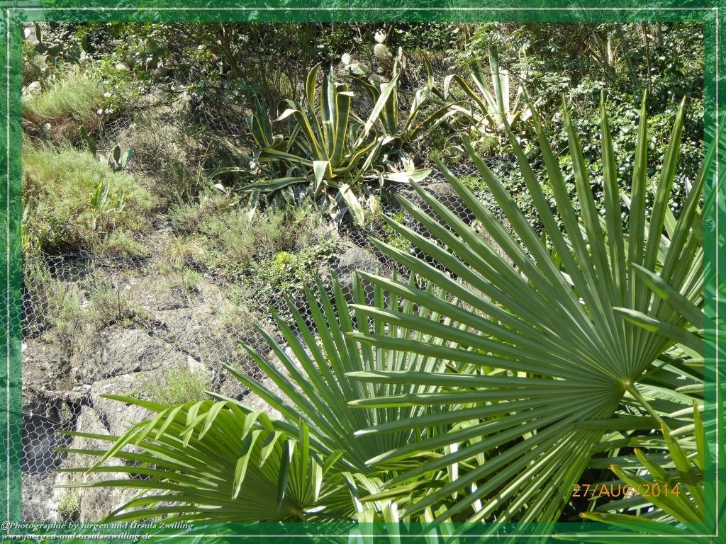 Philosophische Bildwanderung – eine Zeitreise Gardasee - Riva del Garda - Malcesine - Monte Baldo – Sirmione - Grotta Cascata del Varonel - Abschied über Ledrosee