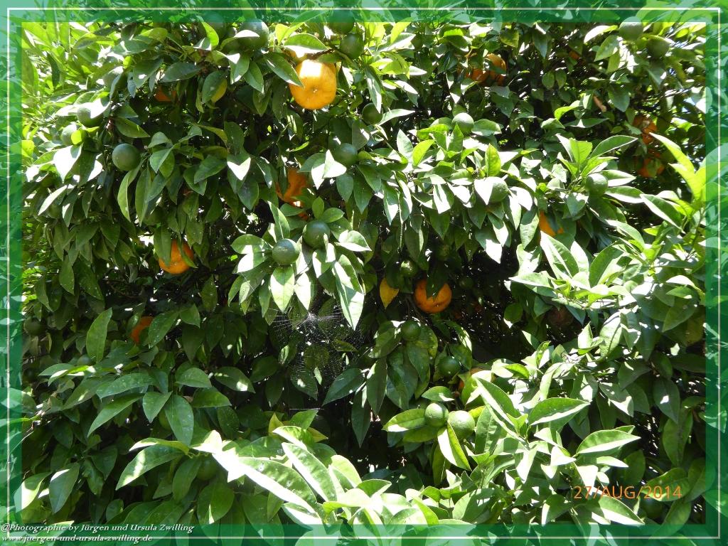 Philosophische Bildwanderung – eine Zeitreise Gardasee - Riva del Garda - Malcesine - Monte Baldo – Sirmione - Grotta Cascata del Varonel - Abschied über Ledrosee