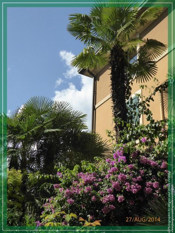 Philosophische Bildwanderung – eine Zeitreise Gardasee - Riva del Garda - Malcesine - Monte Baldo – Sirmione - Grotta Cascata del Varonel - Abschied über Ledrosee