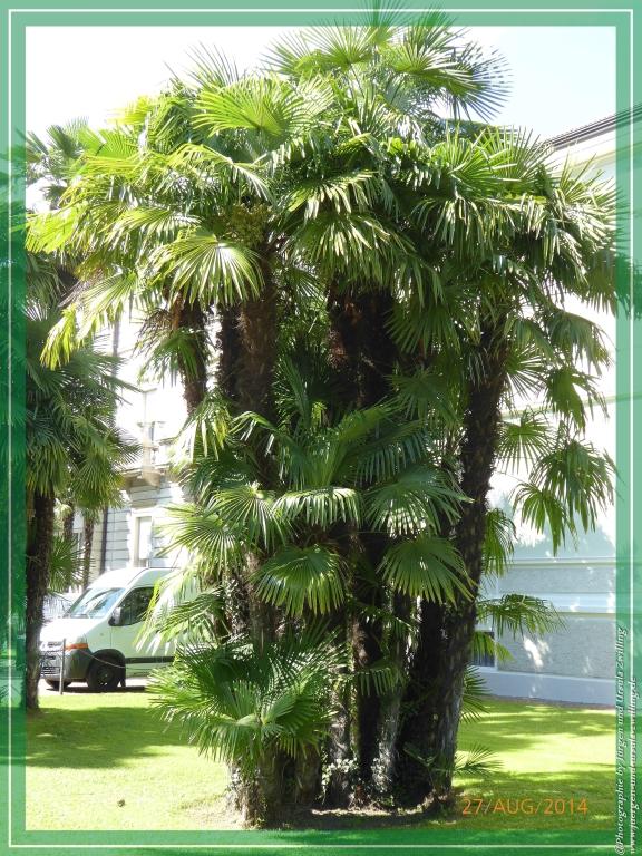 Philosophische Bildwanderung – eine Zeitreise Gardasee - Riva del Garda - Malcesine - Monte Baldo – Sirmione - Grotta Cascata del Varonel - Abschied über Ledrosee