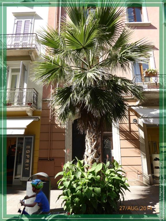 Philosophische Bildwanderung – eine Zeitreise Gardasee - Riva del Garda - Malcesine - Monte Baldo – Sirmione - Grotta Cascata del Varonel - Abschied über Ledrosee