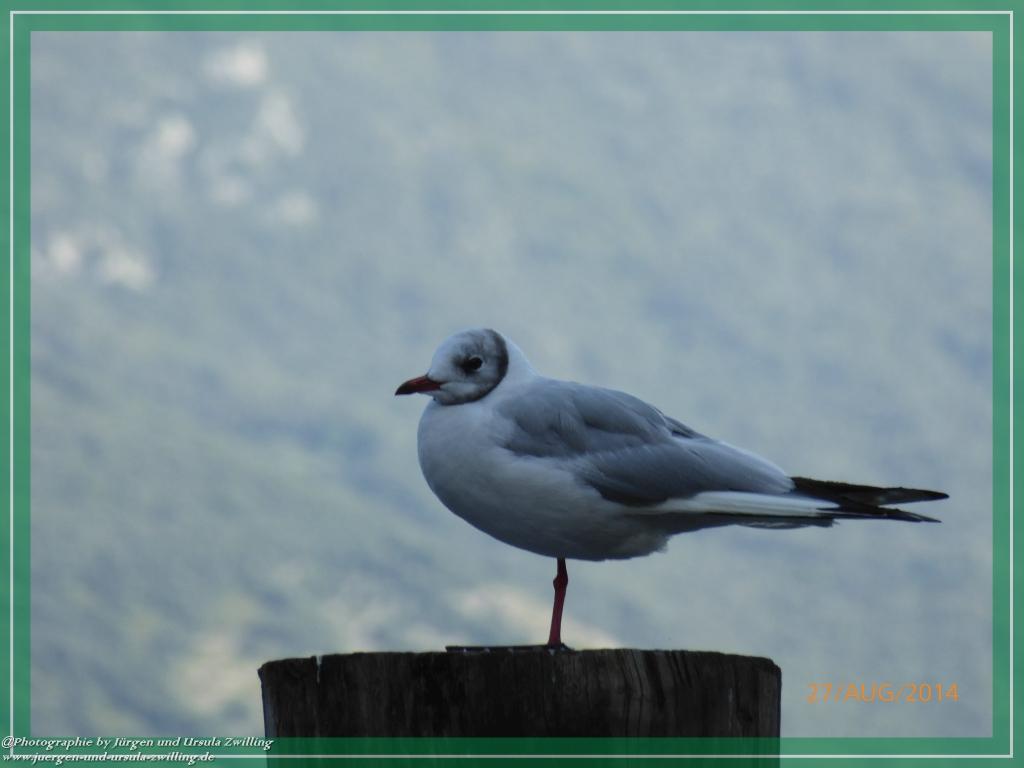Philosophische Bildwanderung – eine Zeitreise Gardasee - Riva del Garda - Malcesine - Monte Baldo – Sirmione - Grotta Cascata del Varonel - Abschied über Ledrosee