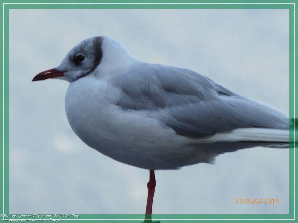 Philosophische Bildwanderung – eine Zeitreise Gardasee - Riva del Garda - Malcesine - Monte Baldo – Sirmione - Grotta Cascata del Varonel - Abschied über Ledrosee