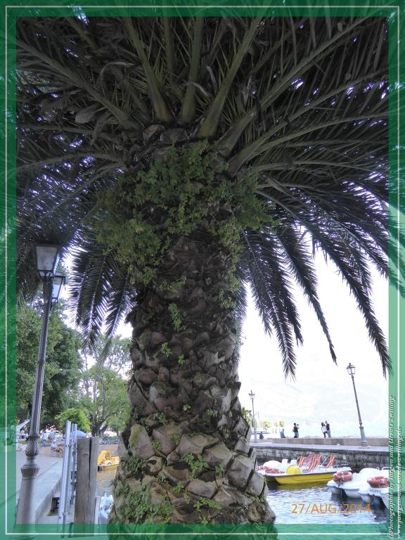 Philosophische Bildwanderung – eine Zeitreise Gardasee - Riva del Garda - Malcesine - Monte Baldo – Sirmione - Grotta Cascata del Varonel - Abschied über Ledrosee