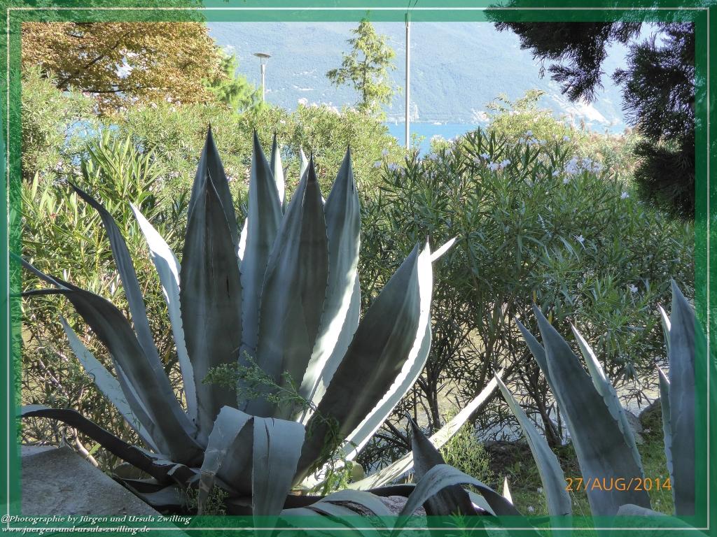 Philosophische Bildwanderung – eine Zeitreise Gardasee - Riva del Garda -  Malcesine - Monte Baldo – Sirmione - Grotta Cascata del Varonel -  Abschied über Ledrosee