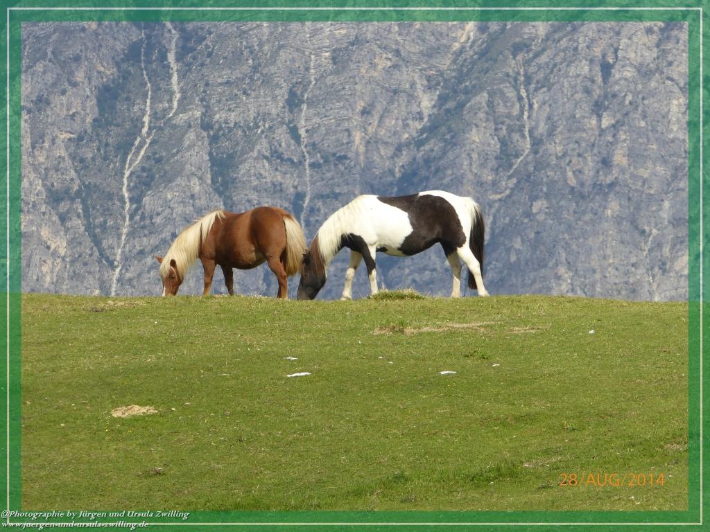 Philosophische Bildwanderung – eine Zeitreise Gardasee - Riva del Garda - Malcesine - Monte Baldo – Sirmione - Grotta Cascata del Varonel - Abschied über Ledrosee