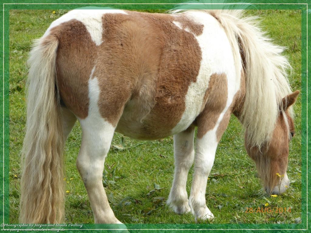 Philosophische Bildwanderung – eine Zeitreise Gardasee - Riva del Garda - Malcesine - Monte Baldo – Sirmione - Grotta Cascata del Varonel - Abschied über Ledrosee