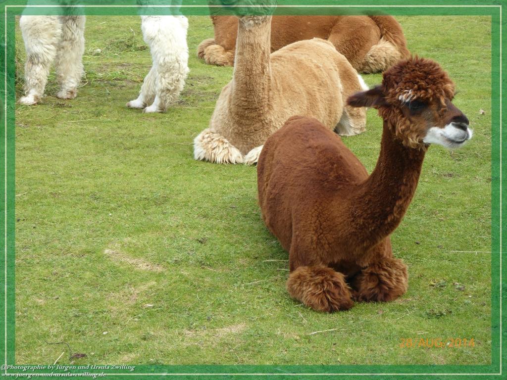 Philosophische Bildwanderung – eine Zeitreise Gardasee - Riva del Garda - Malcesine - Monte Baldo – Sirmione - Grotta Cascata del Varonel - Abschied über Ledrosee