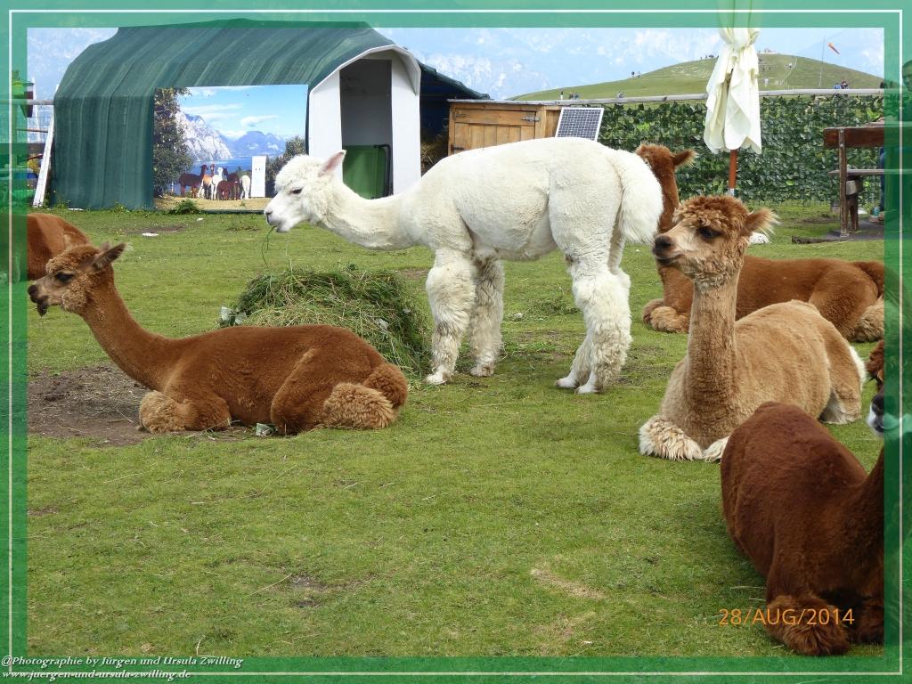 Philosophische Bildwanderung – eine Zeitreise Gardasee - Riva del Garda - Malcesine - Monte Baldo – Sirmione - Grotta Cascata del Varonel - Abschied über Ledrosee