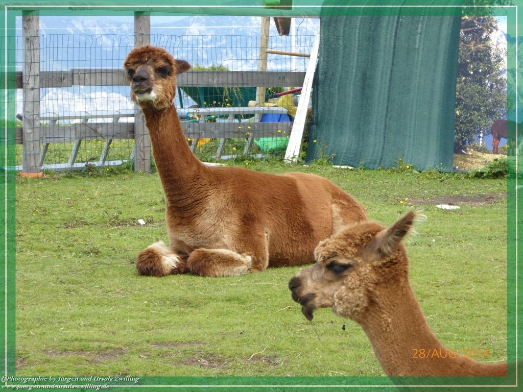 Philosophische Bildwanderung – eine Zeitreise Gardasee - Riva del Garda - Malcesine - Monte Baldo – Sirmione - Grotta Cascata del Varonel - Abschied über Ledrosee