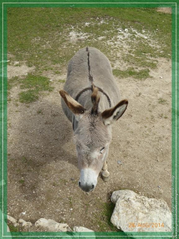 Philosophische Bildwanderung – eine Zeitreise Gardasee - Riva del Garda - Malcesine - Monte Baldo – Sirmione - Grotta Cascata del Varonel - Abschied über Ledrosee