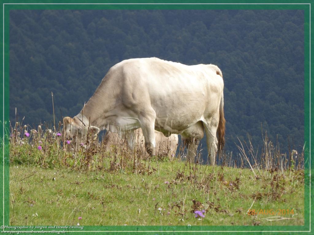 Philosophische Bildwanderung – eine Zeitreise Gardasee - Riva del Garda - Malcesine - Monte Baldo – Sirmione - Grotta Cascata del Varonel - Abschied über Ledrosee