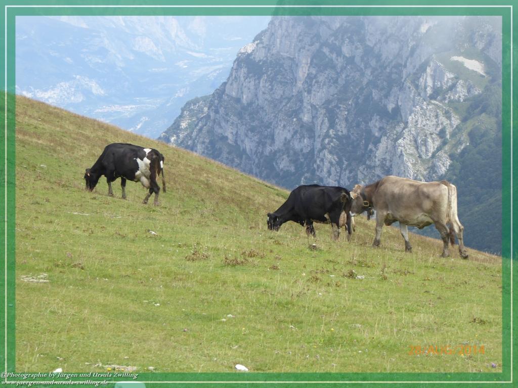 Philosophische Bildwanderung – eine Zeitreise Gardasee - Riva del Garda - Malcesine - Monte Baldo – Sirmione - Grotta Cascata del Varonel - Abschied über Ledrosee