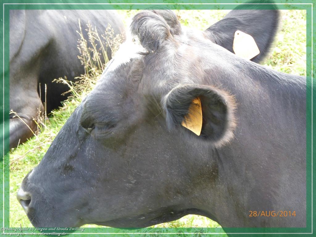 Philosophische Bildwanderung – eine Zeitreise Gardasee - Riva del Garda - Malcesine - Monte Baldo – Sirmione - Grotta Cascata del Varonel - Abschied über Ledrosee