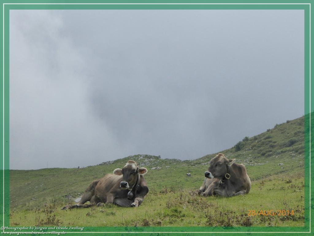 Philosophische Bildwanderung – eine Zeitreise Gardasee - Riva del Garda - Malcesine - Monte Baldo – Sirmione - Grotta Cascata del Varonel - Abschied über Ledrosee