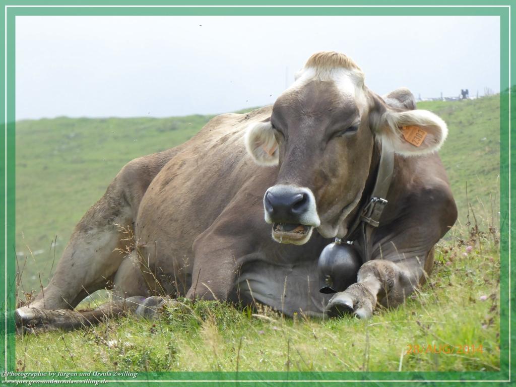 Philosophische Bildwanderung – eine Zeitreise Gardasee - Riva del Garda - Malcesine - Monte Baldo – Sirmione - Grotta Cascata del Varonel - Abschied über Ledrosee