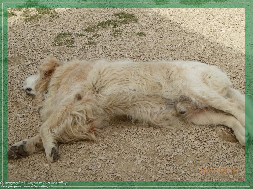 Philosophische Bildwanderung – eine Zeitreise Gardasee - Riva del Garda - Malcesine - Monte Baldo – Sirmione - Grotta Cascata del Varonel - Abschied über Ledrosee