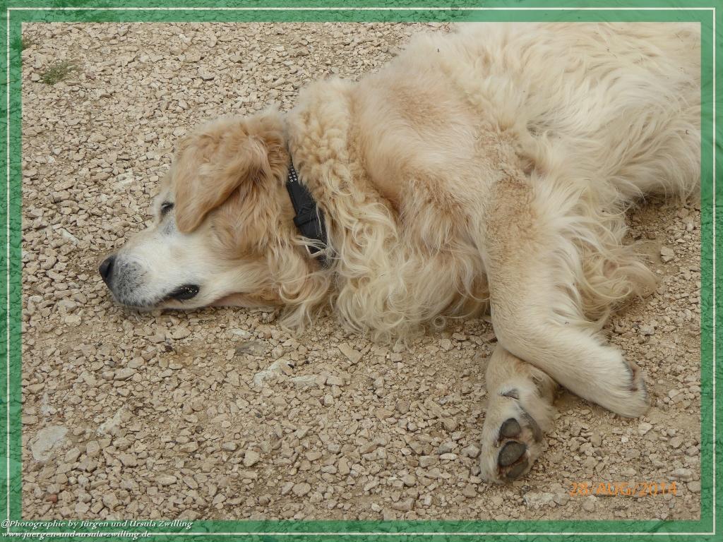 Philosophische Bildwanderung – eine Zeitreise Gardasee - Riva del Garda - Malcesine - Monte Baldo – Sirmione - Grotta Cascata del Varonel - Abschied über Ledrosee