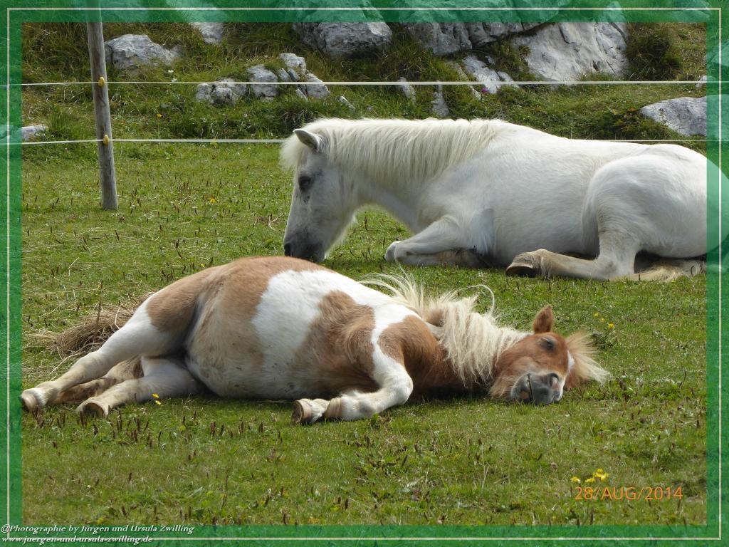 Philosophische Bildwanderung – eine Zeitreise Gardasee - Riva del Garda - Malcesine - Monte Baldo – Sirmione - Grotta Cascata del Varonel - Abschied über Ledrosee