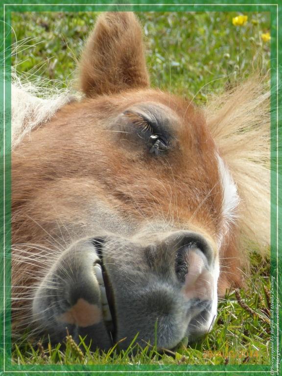 Philosophische Bildwanderung – eine Zeitreise Gardasee - Riva del Garda - Malcesine - Monte Baldo – Sirmione - Grotta Cascata del Varonel - Abschied über Ledrosee