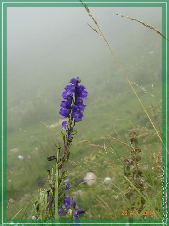 Philosophische Bildwanderung – eine Zeitreise Gardasee - Riva del Garda - Malcesine - Monte Baldo – Sirmione - Grotta Cascata del Varonel - Abschied über Ledrosee