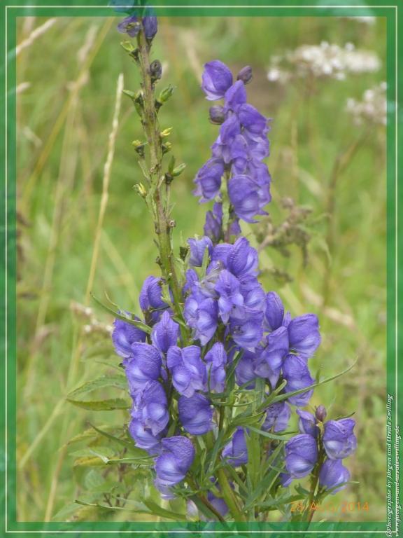 Philosophische Bildwanderung – eine Zeitreise Gardasee - Riva del Garda - Malcesine - Monte Baldo – Sirmione - Grotta Cascata del Varonel - Abschied über Ledrosee